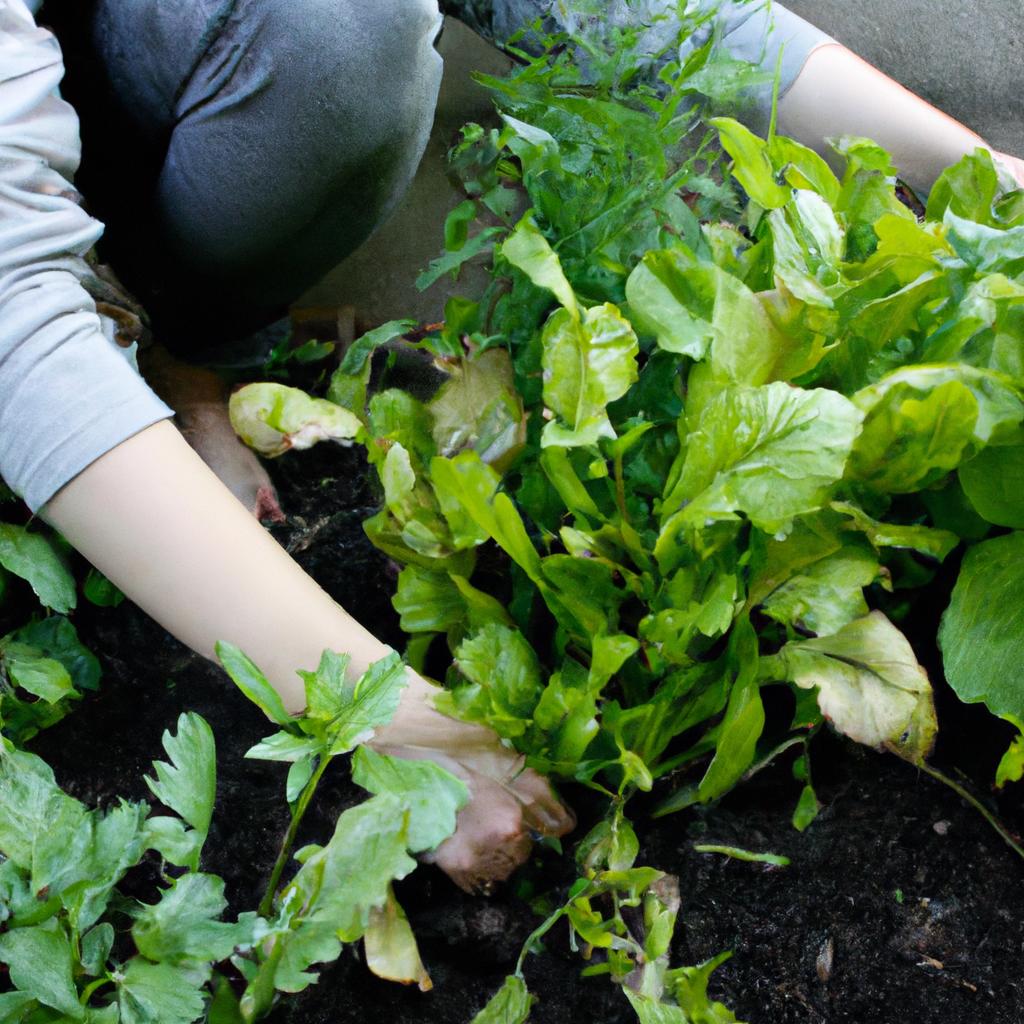 Person gardening with vegetables/herbs